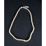 Important cultured pearl necklace from 1 cm to 7 mm thick