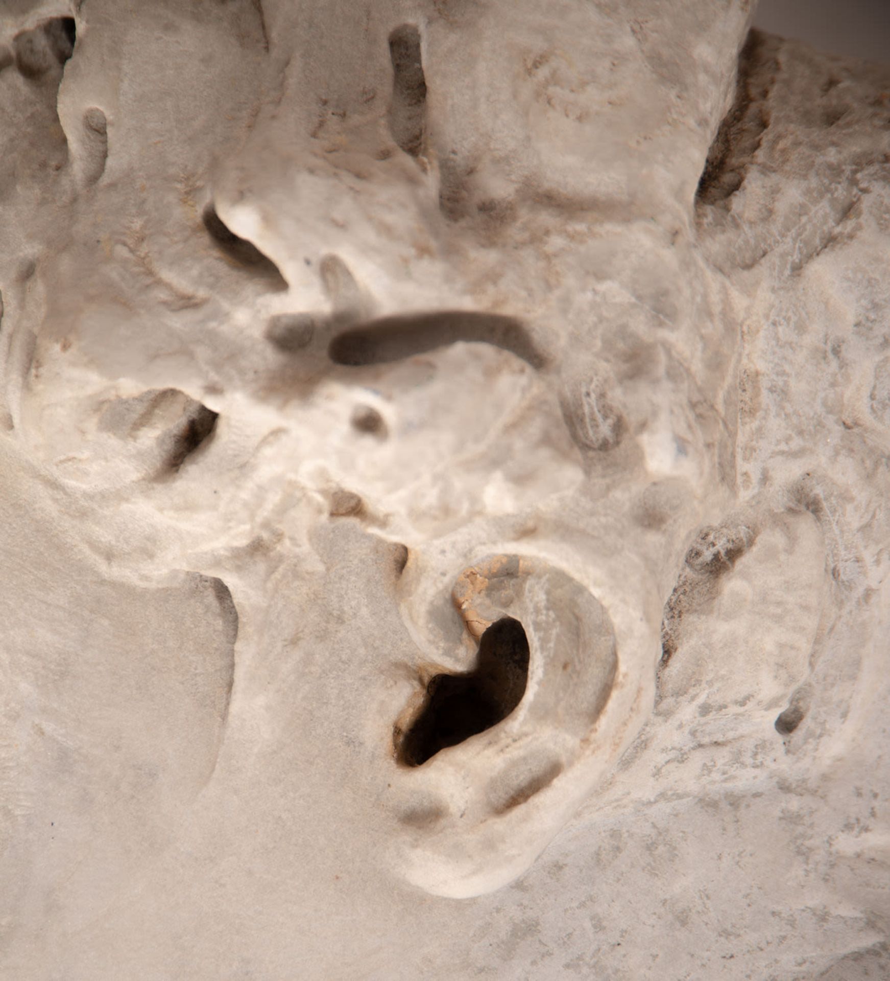 Carrara marble element with Angel's Head, Italian school of the 18th century - Bild 8 aus 10