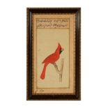 Rare Parrot hand-painted Portrait, Mughal or Persian school, late 18th - early 19th century