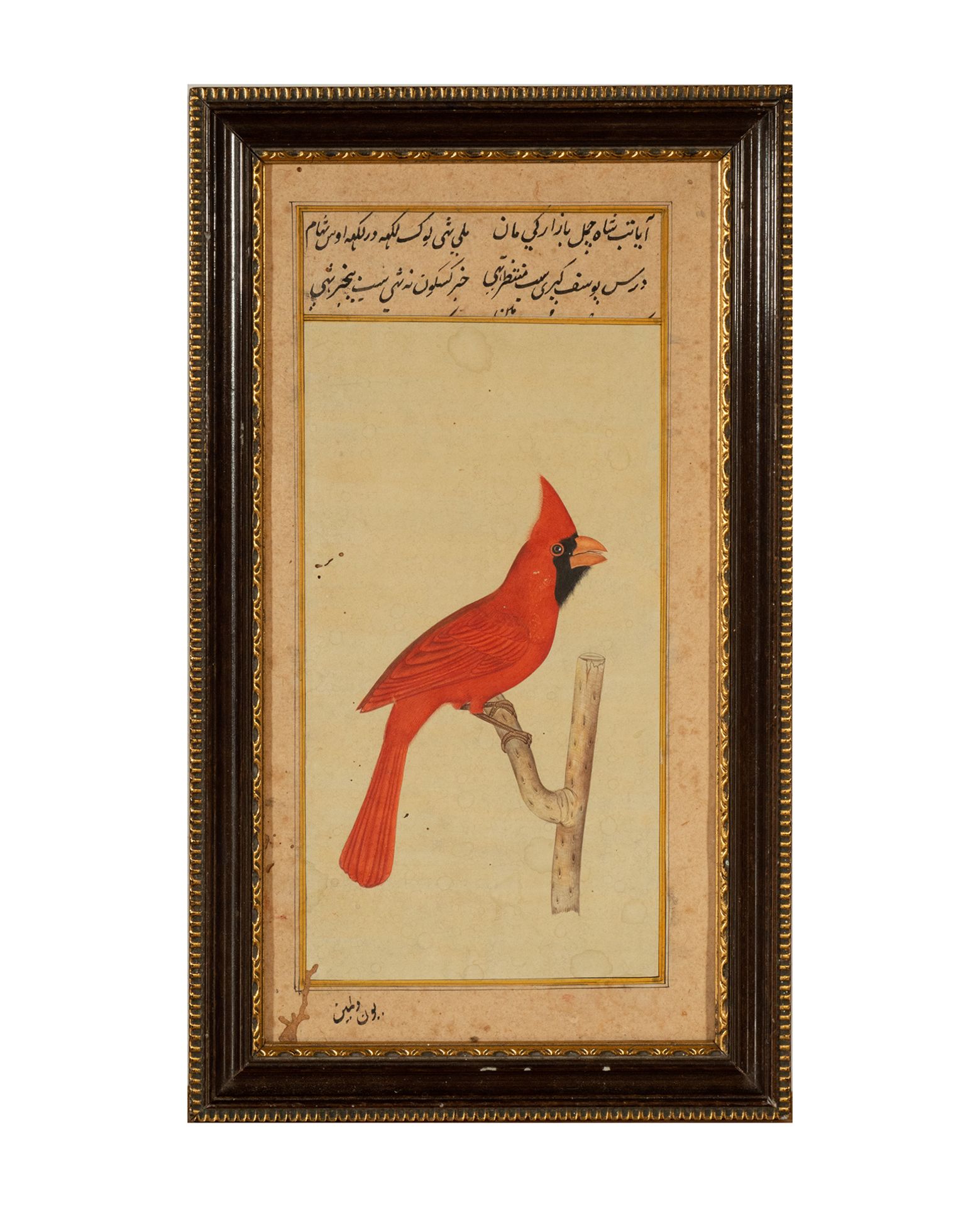 Rare Parrot hand-painted Portrait, Mughal or Persian school, late 18th - early 19th century