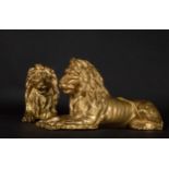 Pair of Italian Lions in gilt bronze, 18th century