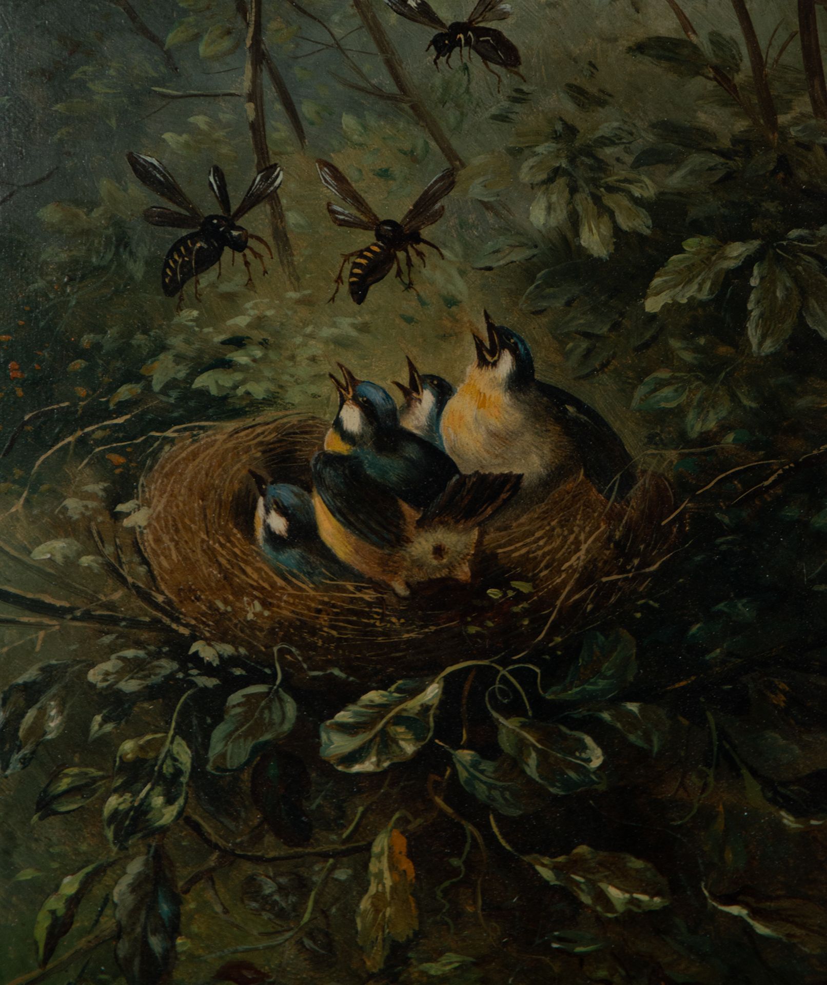 Pair of Oils on panel of Birds in a Nest, French school of the 19th century, signed V. Latour - Image 7 of 10