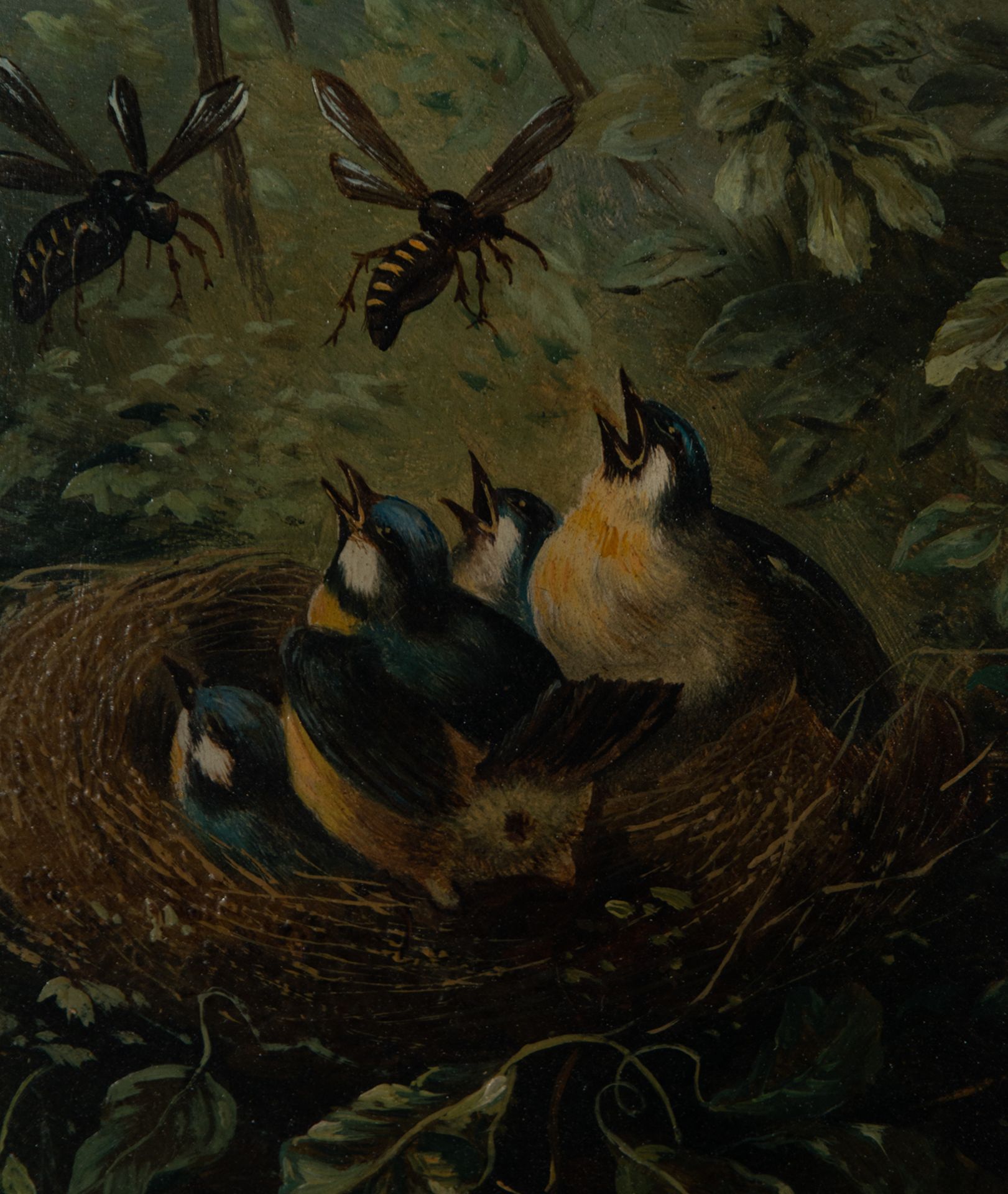 Pair of Oils on panel of Birds in a Nest, French school of the 19th century, signed V. Latour - Image 9 of 10