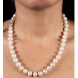 Japanese cultured pearl necklace with 18k yellow gold clasp