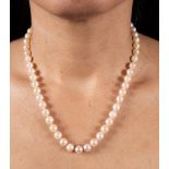 Japanese round cultured pearl necklace with 18k yellow gold clasp