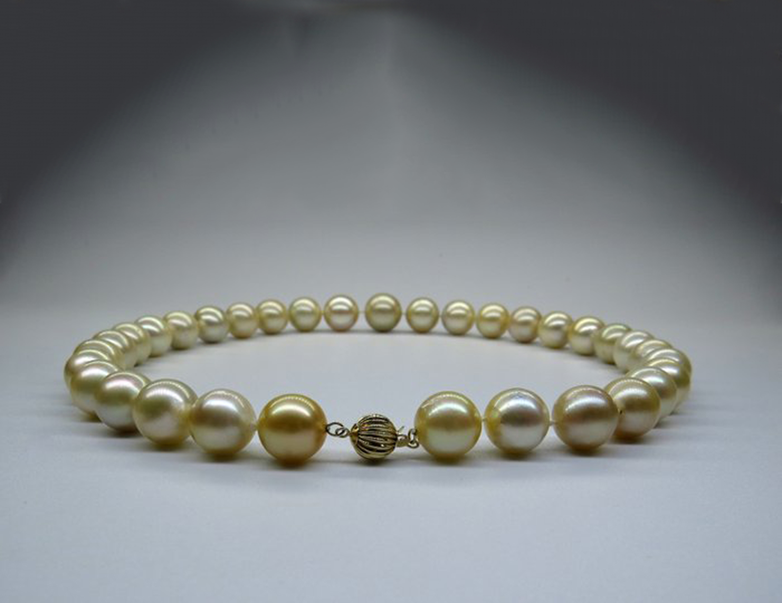 Necklace in Cream and Gold Toned Australian Pearl Necklace with 14k Yellow Gold Gallon Ball Clasp - Bild 4 aus 5