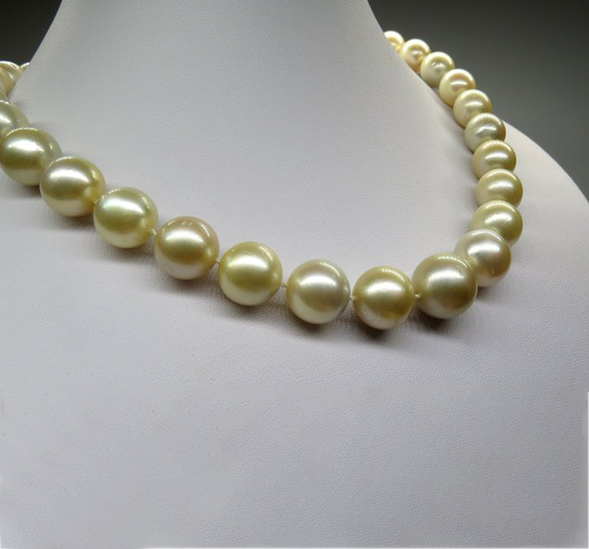 Necklace in Cream and Gold Toned Australian Pearl Necklace with 14k Yellow Gold Gallon Ball Clasp