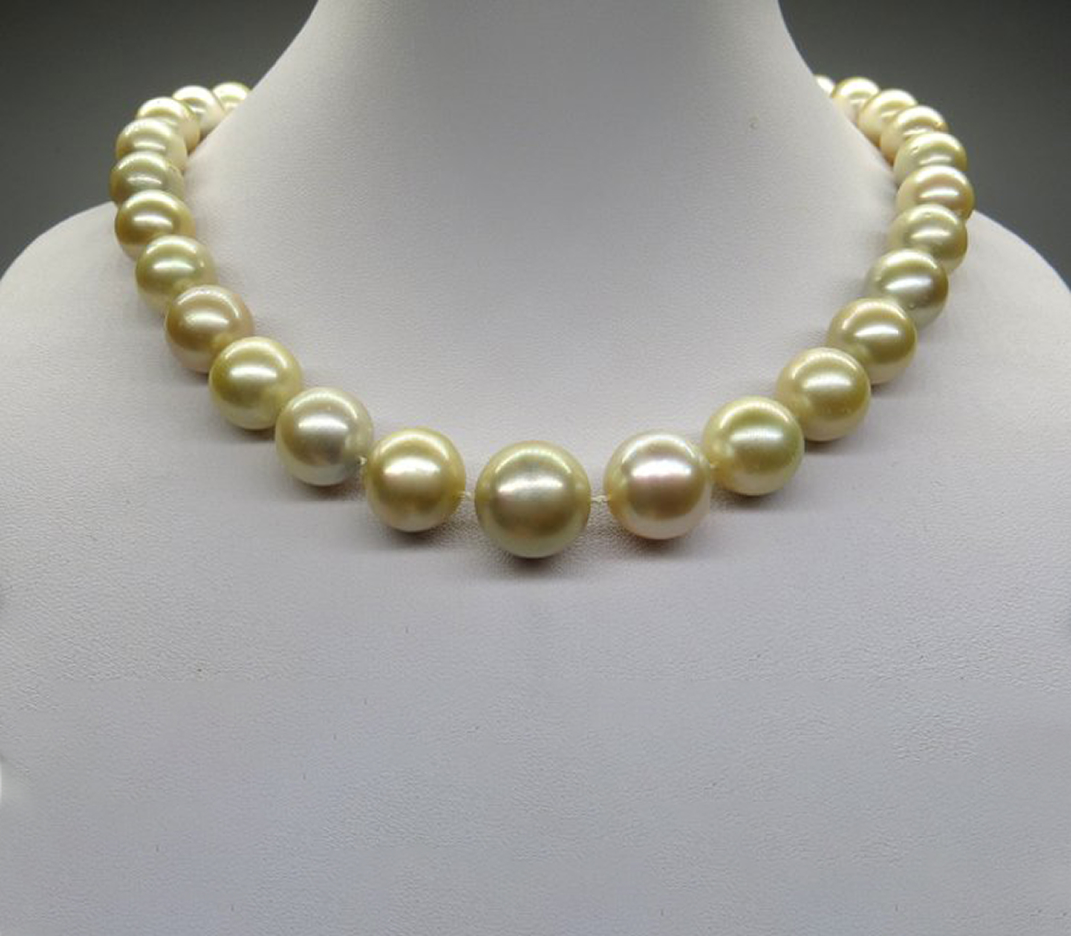 Necklace in Cream and Gold Toned Australian Pearl Necklace with 14k Yellow Gold Gallon Ball Clasp - Bild 2 aus 5