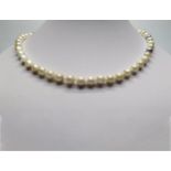 Baroque Akoya pearl necklace combined in shades of white and bluish gray with a chevron ball clasp i