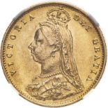 1887 Gold Half-Sovereign Imperfect J DISH L508 NGC AU Details #2126795-020 (AGW=0.1176 oz.)