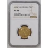 1905 P Gold Sovereign NGC AU 58 #2116719-001 (AGW=0.2355 oz.)