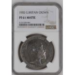 1902 Silver Crown Matte proof NGC PF 61 MATTE #2131520-001