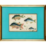 A pair of 19th century framed Chinese watercolours of exotic fish