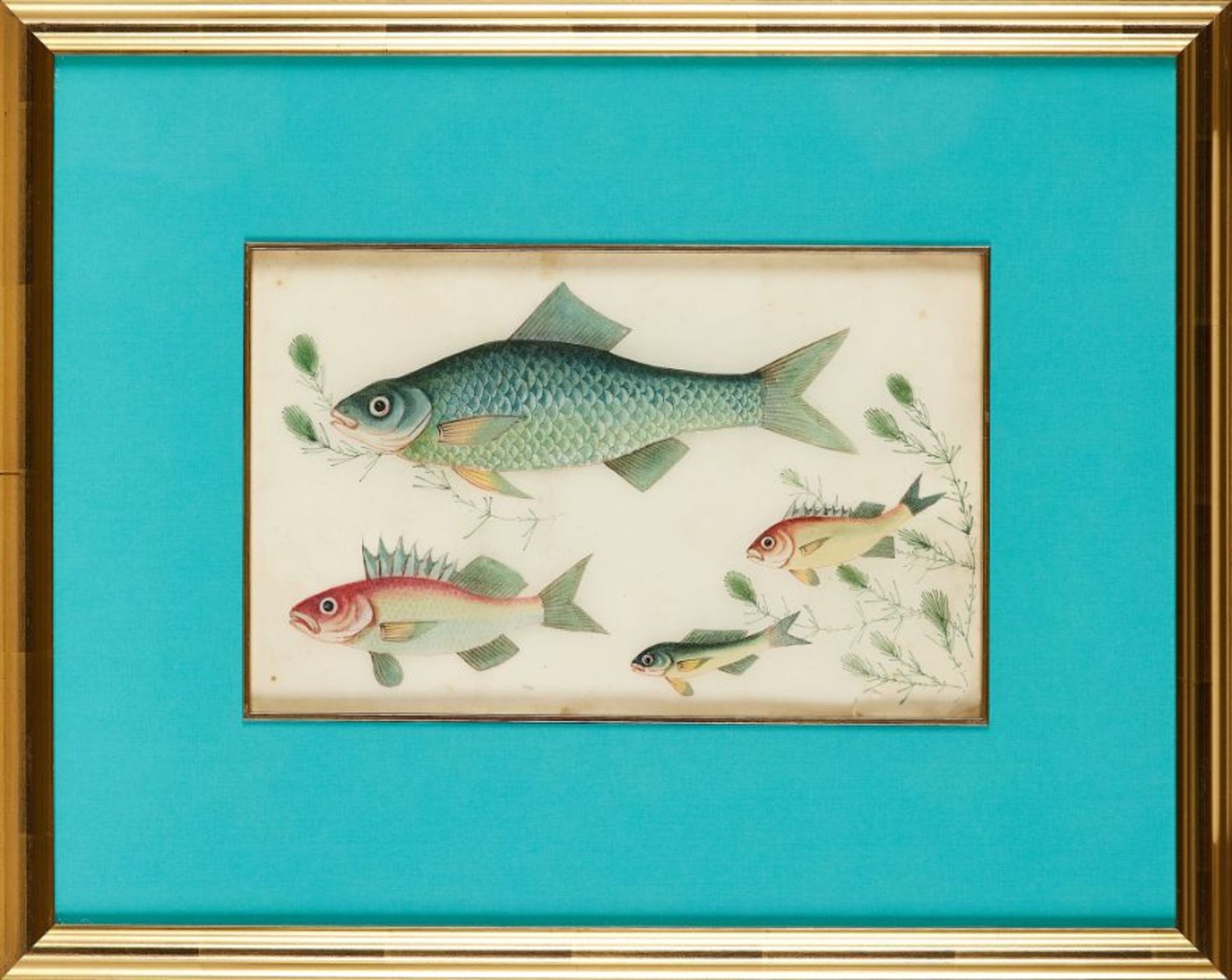 A pair of 19th century framed Chinese watercolours of exotic fish - Image 2 of 2