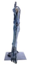 ALIENS - Full-Size Xenomorph Queen Animatronic Leg Display