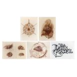 DARK CRYSTAL, THE - Set of Mounted Concept Art Prints by Brian Froud