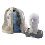 MASK, THE - The Mask SFX Makeup Mold with Jim Carrey Lifecast