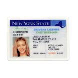 FRIENDS - Studio-Edition Authorized Reproduction: Ursula Buffay's (Lisa Kudrow) Driver's License