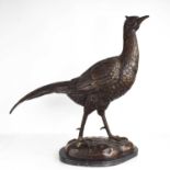 A 20th century bronze sculpture of a female pheasant, raised on a black marble base, unsigned,
