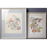 M F Wickham (20th century) two watercolour and pencil on paper botanical studies; pink roses and