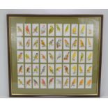 A framed and glazed set of Players cigarette cards depicting various birds.