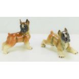 Two Western Germany ceramic boxer dogs, 12cm high.