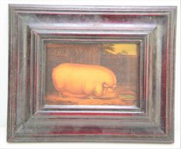 An oliograph, English naive school portrait of a pig in a sty, oil on board.