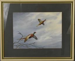 Cecil Hodgkinson (20th century): watercolour "Ring Necked Pheasants", 26cm by 34cm.