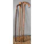 A group of four walking canes of various form.