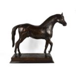 James Osborne (British 1940-1992): an impressive equine study in bronze of a standing Arab