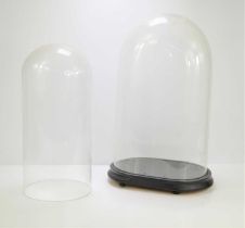 Two Victorian glass domes, one circular the other oval, no base for circular example.
