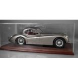 A model silver Jaguar, with numberplate JAG120, in a perspex case.