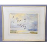 Cecil Thomas Hodgkinson (1895-1979) "Wigeon Alighting" watercolour, signed and framed.