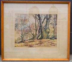 A watercolour on paper, woodland landscape.