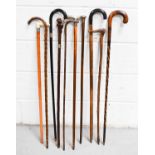 A collection of antique & vintage walking canes, of various size and form, to include one with