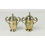 A silver salt and pepper, in the form of urns with pierced covers and twin animal head handles, 4.