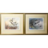 E. Powell (Worcester porcelain artist) a pair of watercolours, ducks in flight, signed, 28 by 23cm.