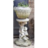 A reconstituted stone cherub pedestal together with an urn form planter, 78cm high.