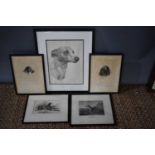 A selection of pictures, to include a pencil sketch of a greyhound, and prints / engravings of dog