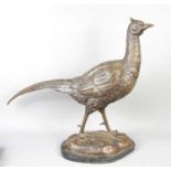 A 20th century large bronze pheasant, raised on a marble plinth, 56cm high.