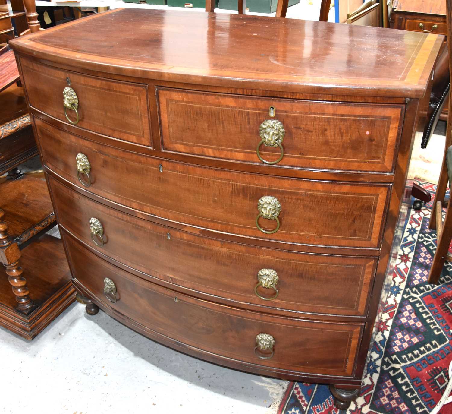 A 19th century mahogany bow fronted chest of drawers, with brass lion head ring handles, 60cms