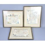 A group of three 19th century hand coloured maps of Norfolk, Lincolnshire and Suffolk, 26cm by