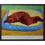David Hockney, limited edition print inscribed dog painting, oil on canvas, 65 by 50cm