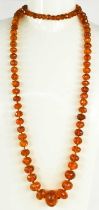 A Victorian amber necklace with 9ct gold clasp, composed of faceted graduated beads, 69g.
