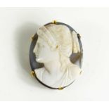 A gold cameo brooch / pendant, depicting classical profile portrait, (unmarked).