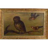 Early 19th century Dutch school, oil on board depicting an owl and two finches perched on