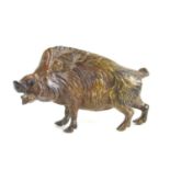 A cold painted bronze boar, 12cm by 7cm.