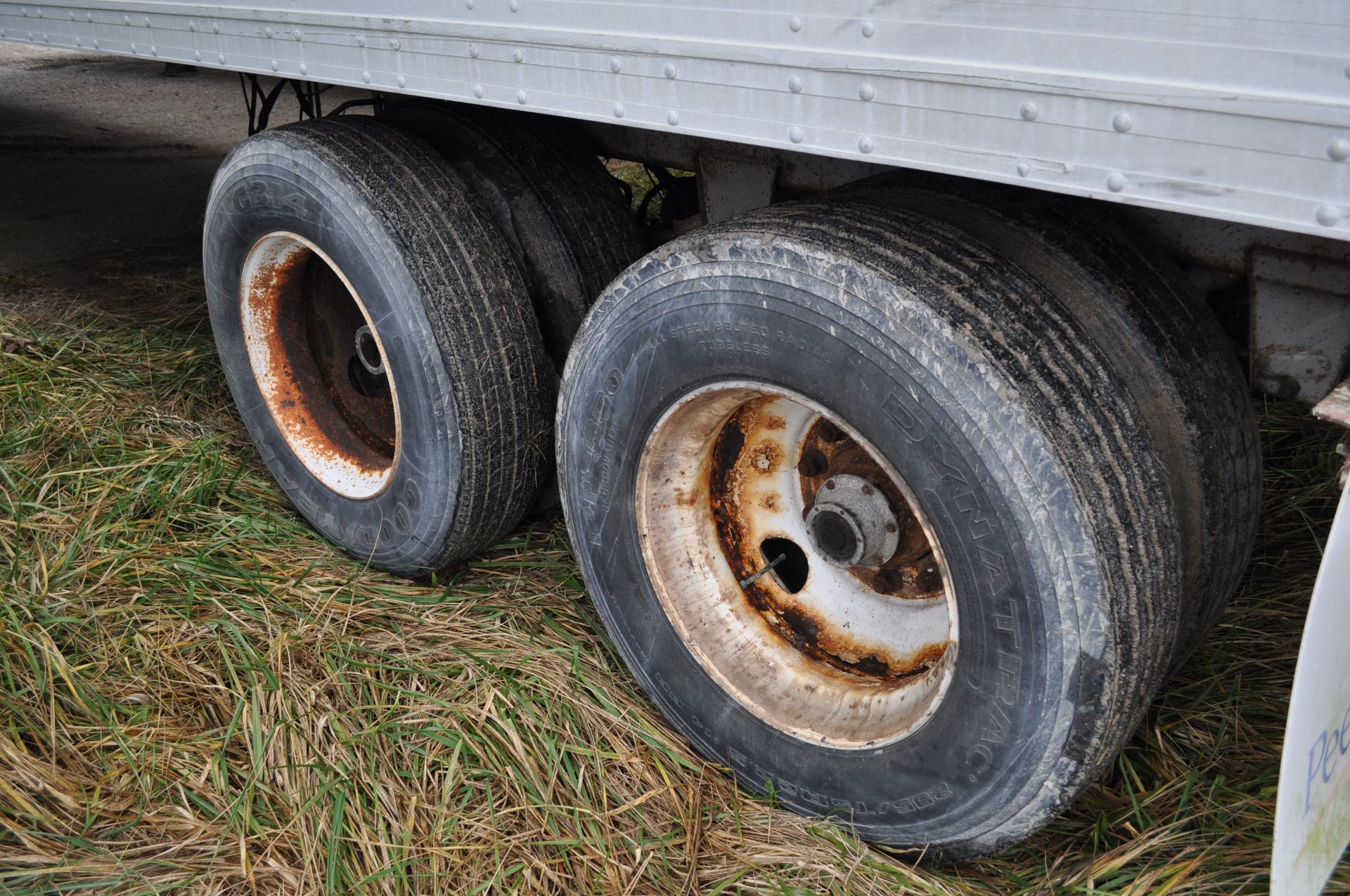 53’ van trailer, tandem axle, roll up doors, NO TITLE - Image 7 of 13