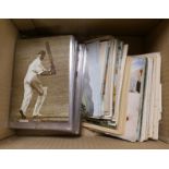 Postcards.  A bundle of Golden Age Greats cricketing postcards & various unrelated postcards &