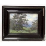 FREDERIC YATES (1854-1919). At Rydal. Oil on canvas. 25cm x 35cm. Signed. Inscribed with title and